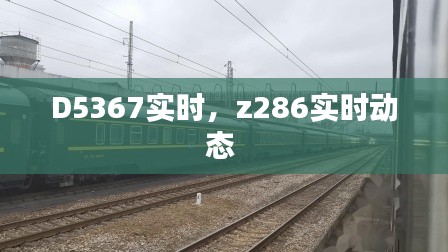 D5367实时，z286实时动态 