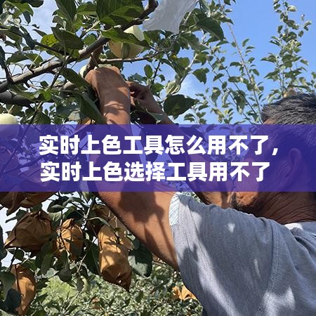 实时上色工具怎么用不了，实时上色选择工具用不了 