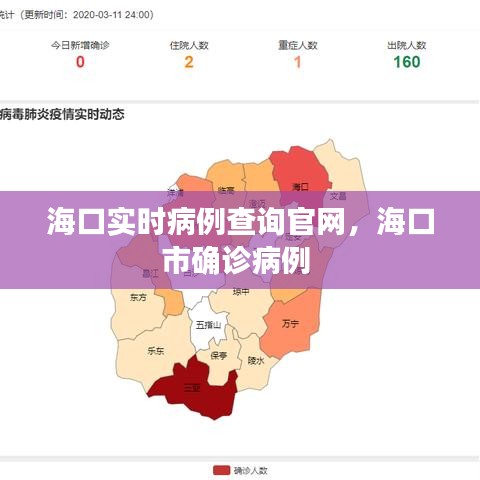 海口实时病例查询官网，海口市确诊病例 