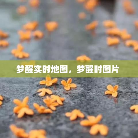 物以希为贵 第4页