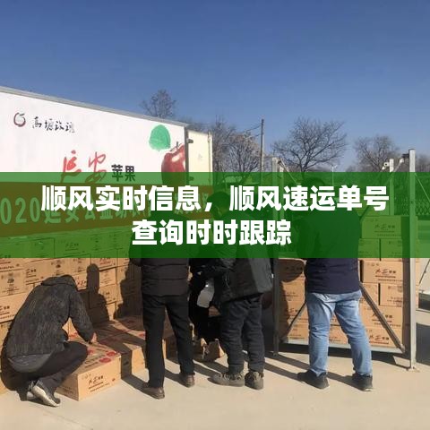 顺风实时信息，顺风速运单号查询时时跟踪 