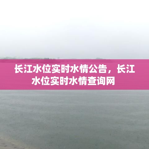 长江水位实时水情公告，长江水位实时水情查询网 