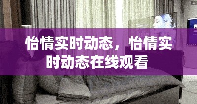 怡情实时动态，怡情实时动态在线观看 