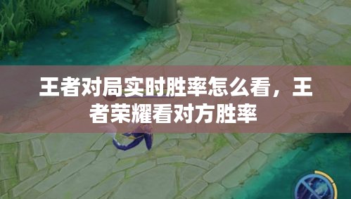 王者对局实时胜率怎么看，王者荣耀看对方胜率 