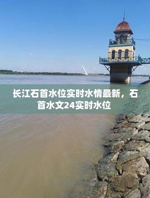 张弓拔弩 第4页
