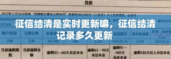 征信结清是实时更新嘛，征信结清记录多久更新 