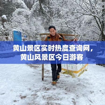 黄山景区实时热度查询网,黄山风景区今日游客