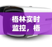 从容就义 第4页