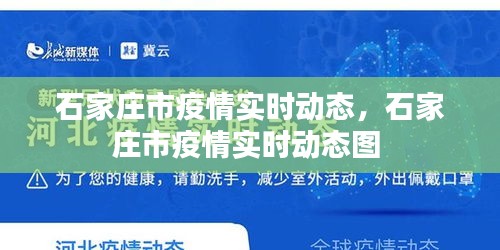 石家庄市疫情实时动态，石家庄市疫情实时动态图 