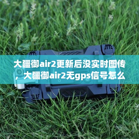 百不获一 第3页