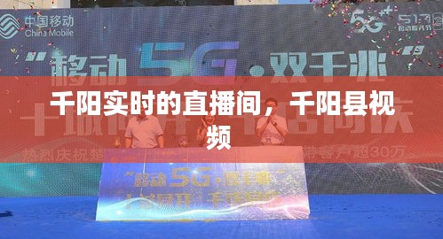 千阳实时的直播间，千阳县视频 
