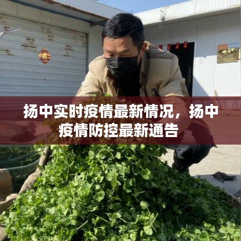 扬中实时疫情最新情况，扬中疫情防控最新通告 