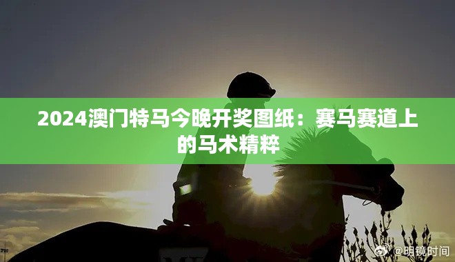 2024澳门特马今晚开奖图纸：赛马赛道上的马术精粹