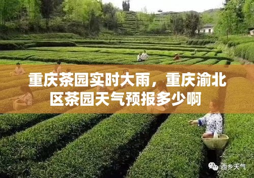 重庆茶园实时大雨，重庆渝北区茶园天气预报多少啊 