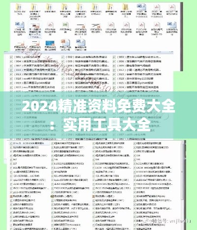 2024精准资料免费大全:实用工具大全