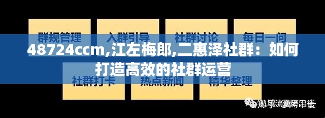 48724ccm,江左梅郎,二惠泽社群：如何打造高效的社群运营