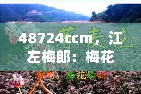 伤弓之鸟 第4页