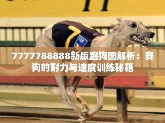 7777788888新版跑狗图解析:赛狗的耐力与速度训练秘籍