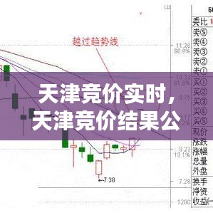 天津竞价实时，天津竞价结果公布时间 
