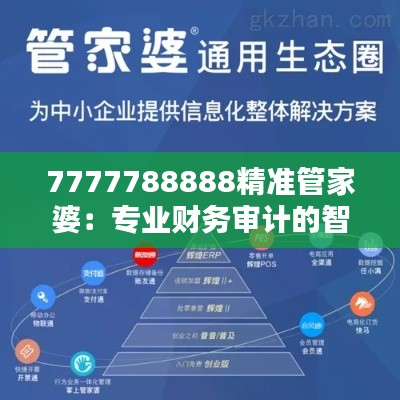 7777788888精准管家婆：专业财务审计的智能新助手