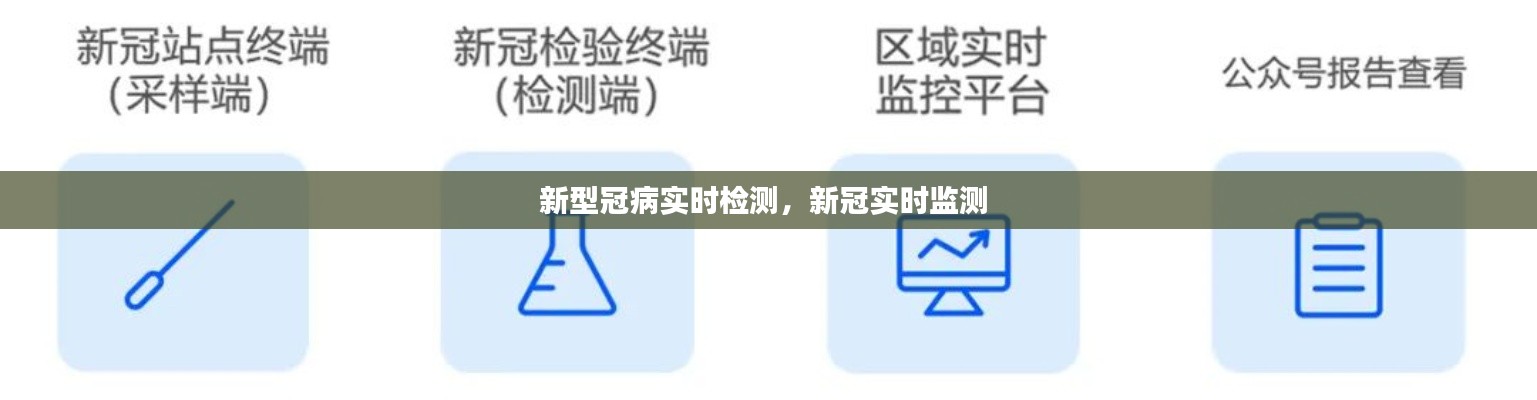 新型冠病实时检测，新冠实时监测 
