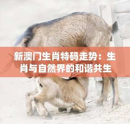 新澳门生肖特码走势：生肖与自然界的和谐共生