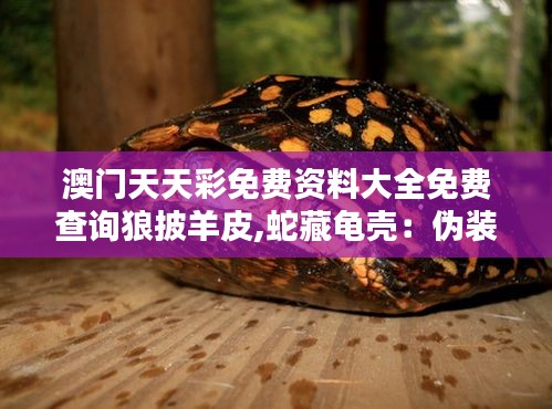 澳门天天彩免费资料大全免费查询狼披羊皮,蛇藏龟壳:伪装技巧与心理战术