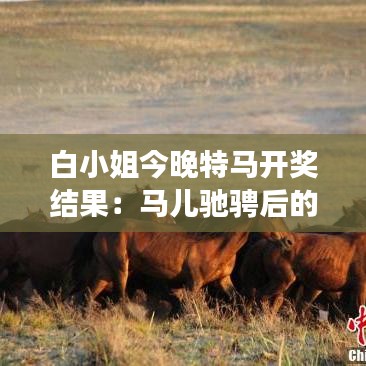 白小姐今晚特马开奖结果：马儿驰骋后的胜利号角响起
