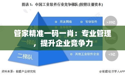 管家精准一码一肖：专业管理，提升企业竞争力
