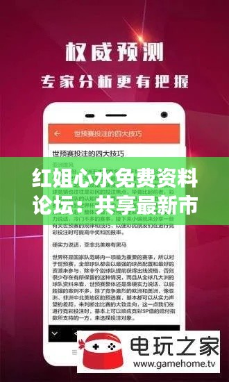 红姐心水免费资料论坛：共享最新市场策略