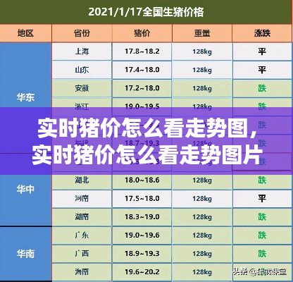 实时猪价怎么看走势图，实时猪价怎么看走势图片 