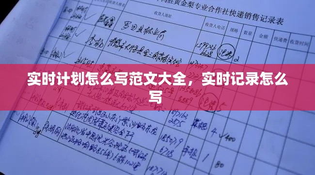 实时计划怎么写范文大全，实时记录怎么写 