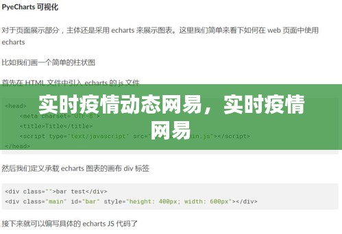实时疫情动态网易，实时疫情 网易 