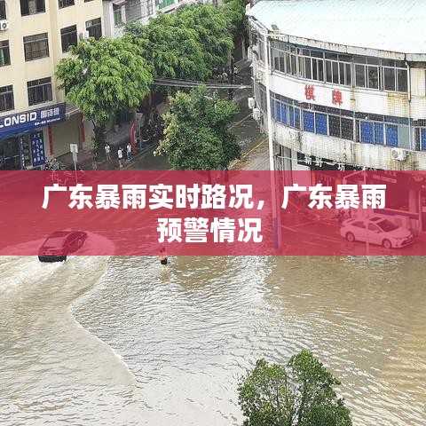 广东暴雨实时路况，广东暴雨预警情况 