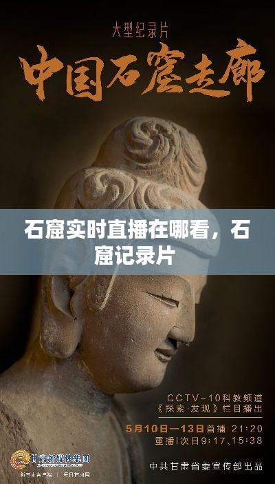石窟实时直播在哪看,石窟记录片