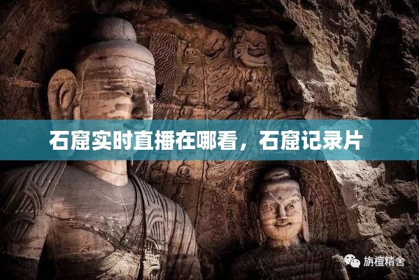 石窟实时直播在哪看,石窟记录片