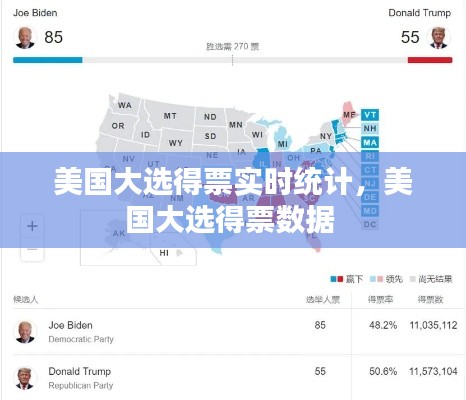美国大选得票实时统计，美国大选得票数据 