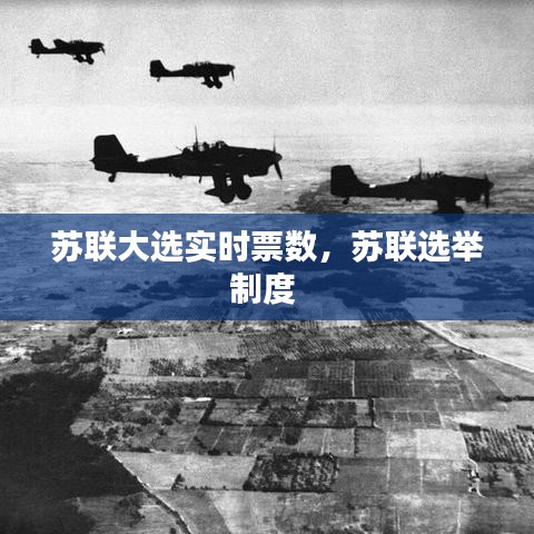 苏联大选实时票数，苏联选举制度 