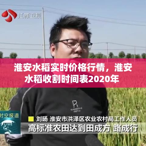 淮安水稻实时价格行情，淮安水稻收割时间表2020年 