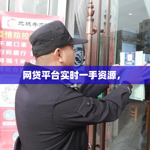 网贷平台实时一手资源， 