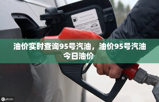 油价实时查询95号汽油，油价95号汽油今日油价 