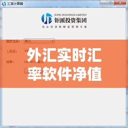 外汇实时汇率软件净值，即时外汇汇率查询软件 