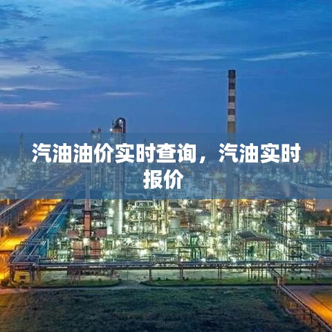 汽油油价实时查询，汽油实时报价 