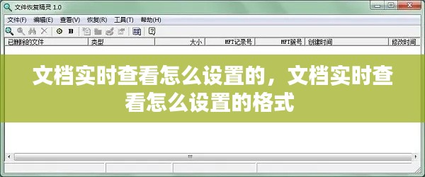 文档实时查看怎么设置的，文档实时查看怎么设置的格式 