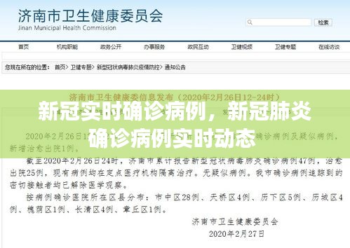 新冠实时确诊病例，新冠肺炎确诊病例实时动态 