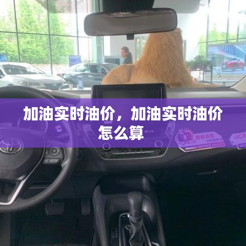加油实时油价，加油实时油价怎么算 