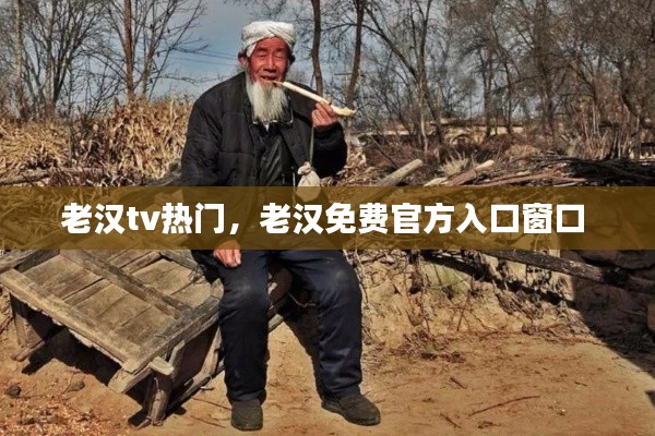 老汉tv热门，老汉免费官方入口窗口 