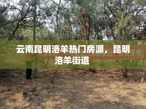 草草收兵 第5页