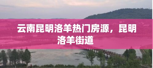 云南昆明洛羊热门房源,昆明洛羊街道