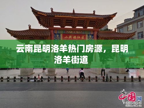 云南昆明洛羊热门房源,昆明洛羊街道